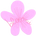 Bloomii – Accueil